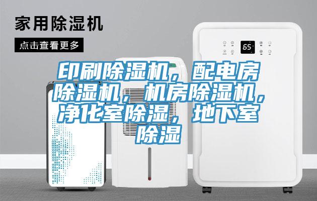 印刷猫咪成人官网，配电房猫咪成人官网，机房猫咪成人官网，净化室除湿，地下室除湿