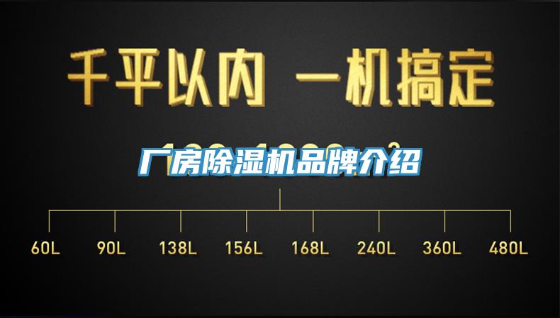 厂房猫咪成人官网品牌介绍