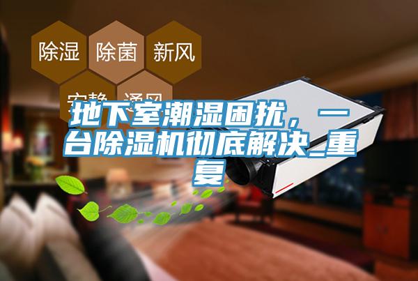 地下室潮湿困扰，一台猫咪成人官网彻底解决_重复