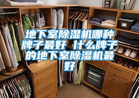 地下室猫咪成人官网哪种牌子最好 什么牌子的地下室猫咪成人官网最好