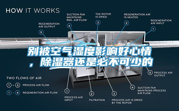 别被空气湿度影响好心情，除湿器还是必不可少的