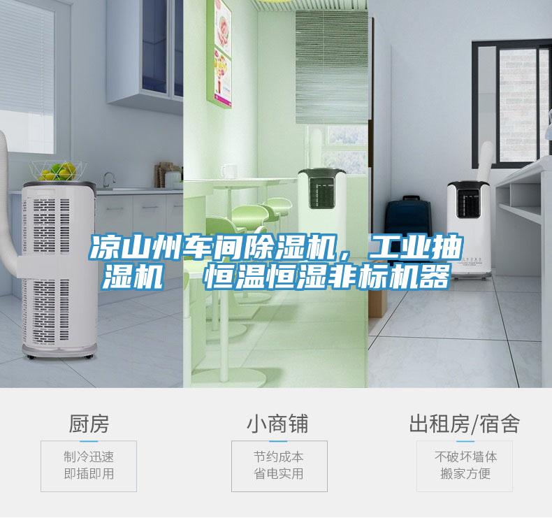 凉山州车间猫咪成人官网，工业抽湿机  恒温恒湿非标机器