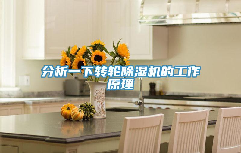 分析一下转轮猫咪成人官网的工作原理