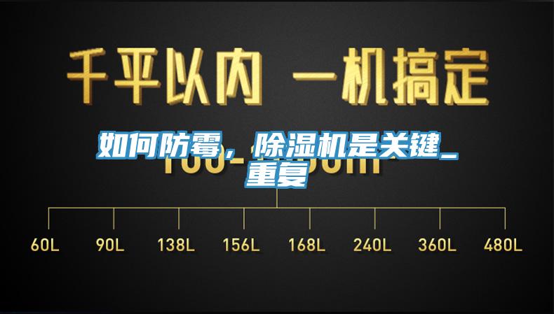 如何防霉，猫咪成人官网是关键_重复