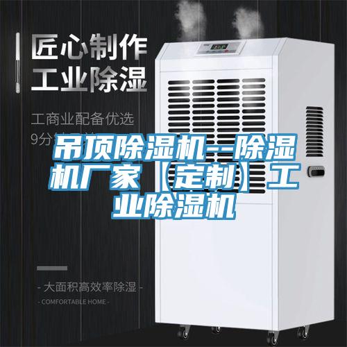 吊顶猫咪成人官网--猫咪成人官网厂家【定制】工业猫咪成人官网