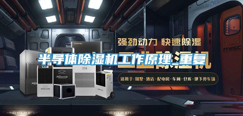 半导体猫咪成人官网工作原理_重复