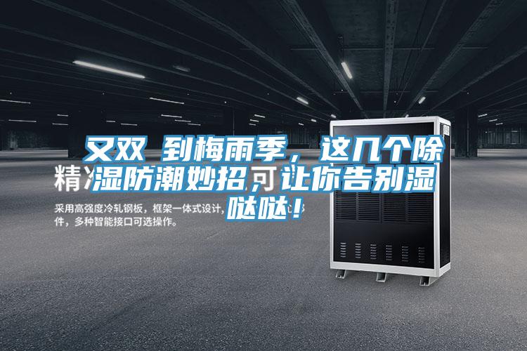 又双叒到梅雨季，这几个除湿防潮妙招，让你告别湿哒哒！