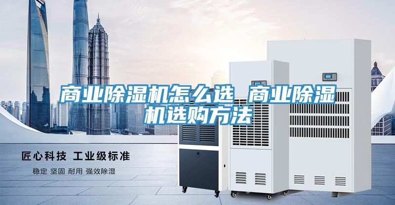 商业猫咪成人官网怎么选 商业猫咪成人官网选购方法
