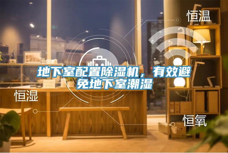 地下室配置猫咪成人官网，有效避免地下室潮湿