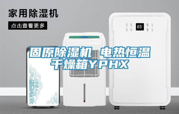 固原猫咪成人官网 电热恒温干燥箱YPHX