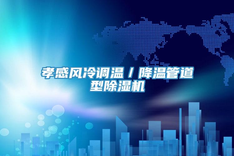 孝感风冷调温／降温管道型猫咪成人官网