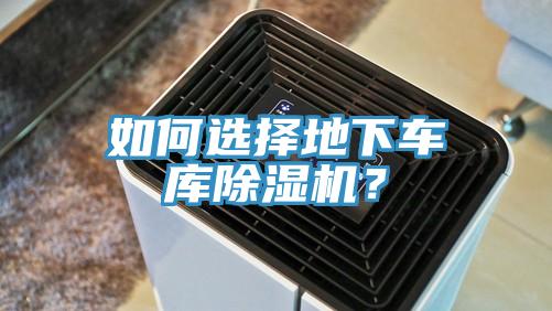 如何选择地下车库猫咪成人官网？