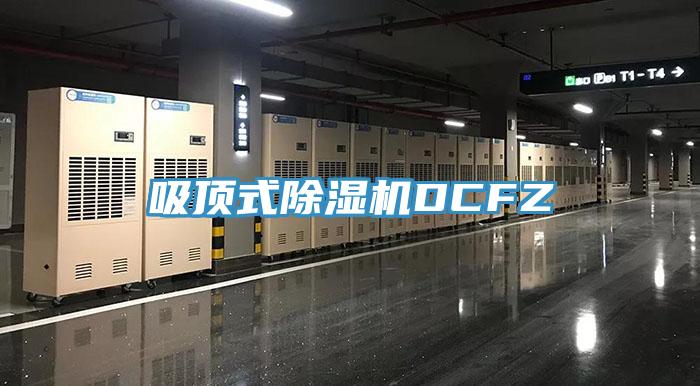 吸顶式猫咪成人官网DCFZ