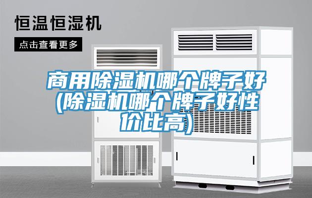 商用猫咪成人官网哪个牌子好(猫咪成人官网哪个牌子好性价比高)