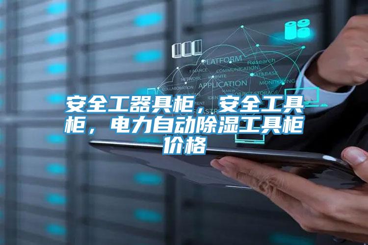 安全工器具柜，安全工具柜，电力自动除湿工具柜价格