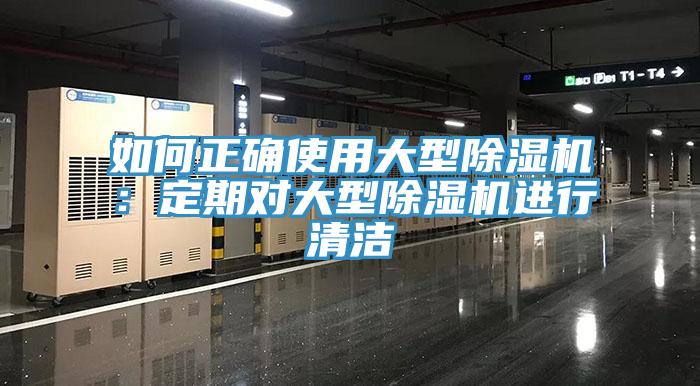 如何正确使用大型猫咪成人官网：定期对大型猫咪成人官网进行清洁