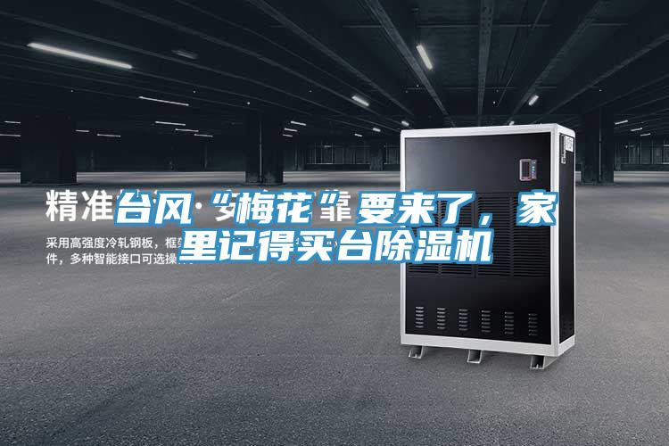 台风“梅花”要来了，家里记得买台猫咪成人官网