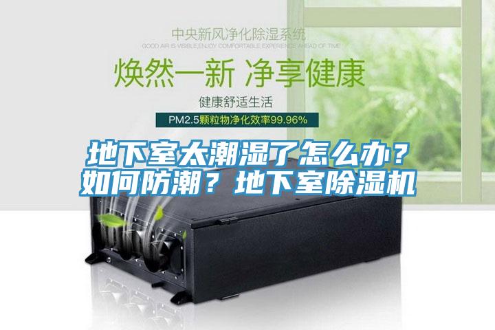 地下室太潮湿了怎么办？如何防潮？地下室猫咪成人官网