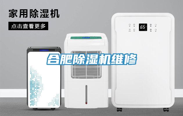合肥猫咪成人官网维修