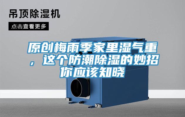 原创梅雨季家里湿气重，这个防潮除湿的妙招你应该知晓