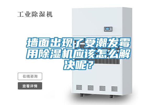墙面出现了受潮发霉用猫咪成人官网应该怎么解决呢？