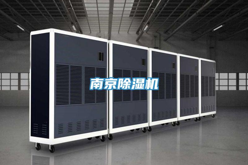 南京猫咪成人官网