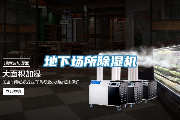 地下场所猫咪成人官网