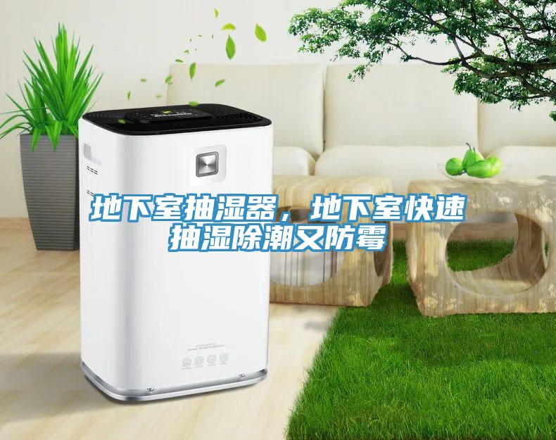 地下室抽湿器，地下室快速抽湿除潮又防霉