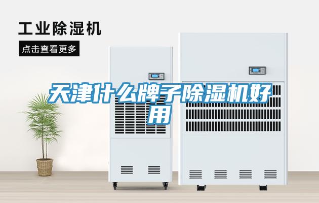 天津什么牌子猫咪成人官网好用