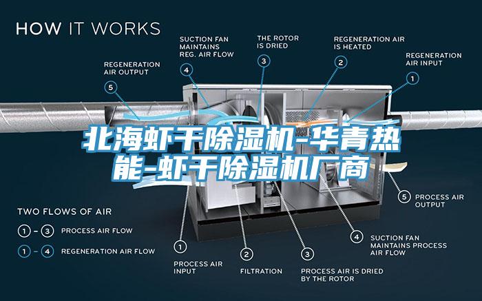 北海虾干猫咪成人官网-华青热能-虾干猫咪成人官网厂商