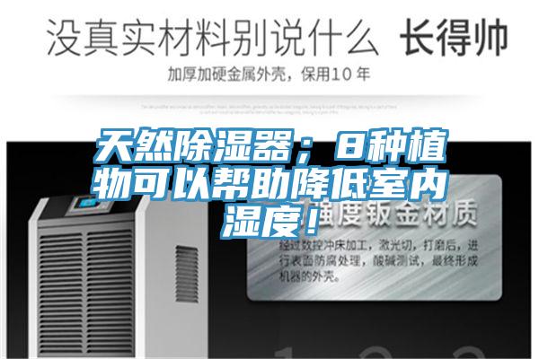 天然除湿器；8种植物可以帮助降低室内湿度！