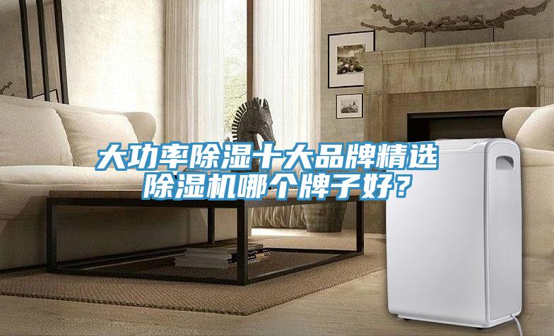 大功率除湿十大品牌精选 猫咪成人官网哪个牌子好？