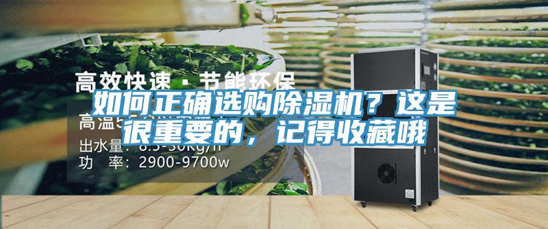 如何正确选购猫咪成人官网？这是很重要的，记得收藏哦