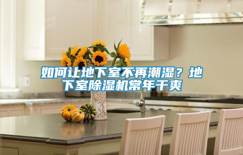 如何让地下室不再潮湿？地下室猫咪成人官网常年干爽