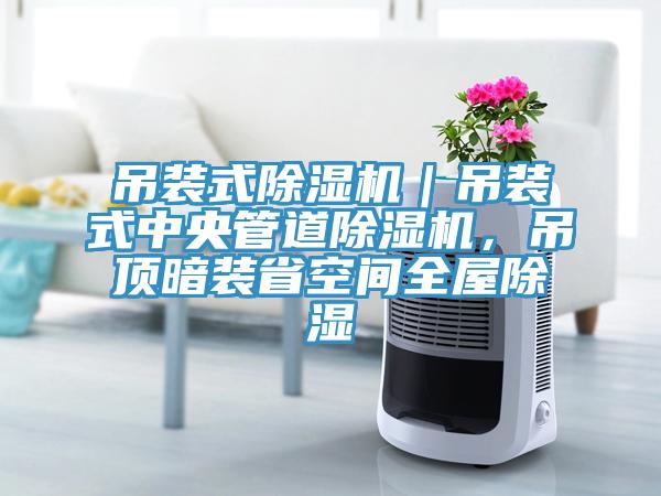 吊装式猫咪成人官网｜吊装式中央管道猫咪成人官网，吊顶暗装省空间全屋除湿