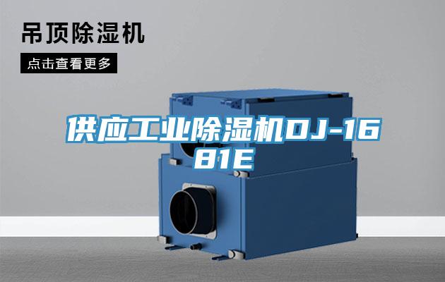 供应工业猫咪成人官网DJ-1681E