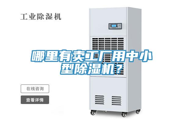 哪里有卖工厂用中小型猫咪成人官网？