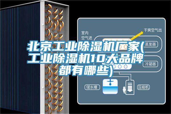 北京工业猫咪成人官网厂家(工业猫咪成人官网10大品牌都有哪些)
