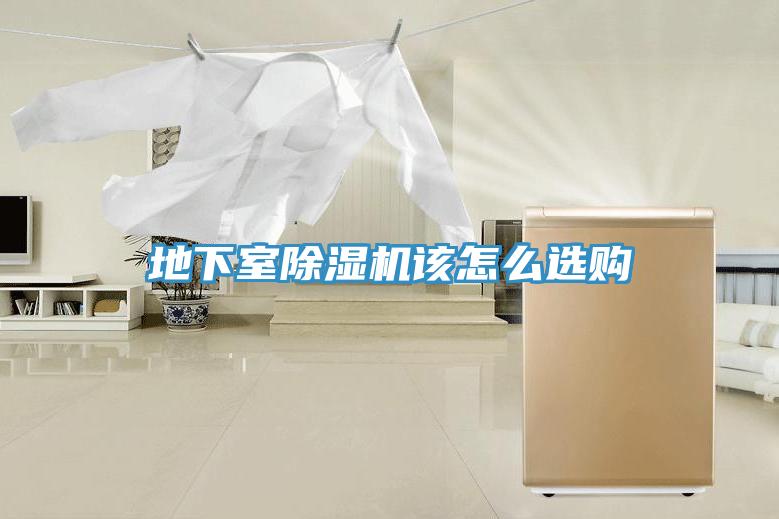 地下室猫咪成人官网该怎么选购