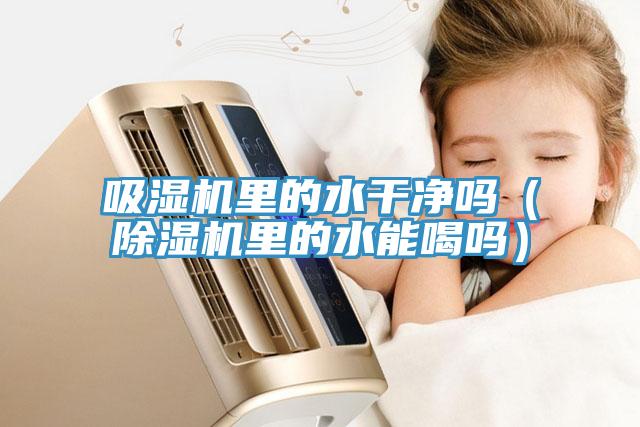 吸湿机里的水干净吗（猫咪成人官网里的水能喝吗）