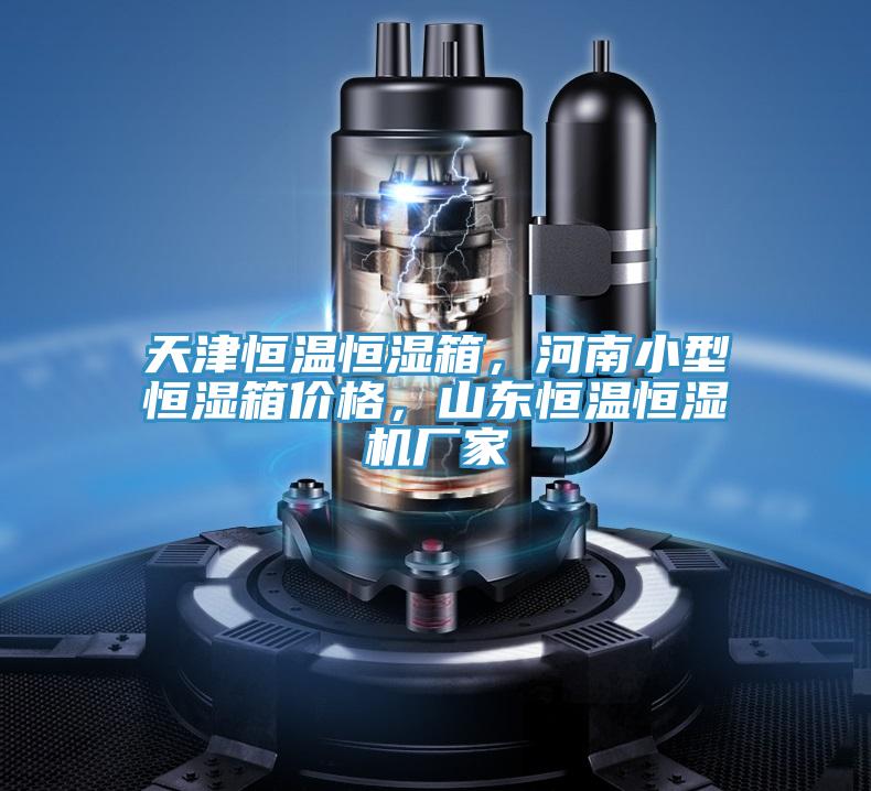 天津恒温恒湿箱，河南小型恒湿箱价格，山东恒温恒湿机厂家