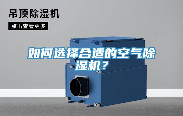 如何选择合适的空气猫咪成人官网？