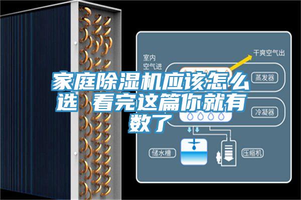 家庭猫咪成人官网应该怎么选 看完这篇你就有数了
