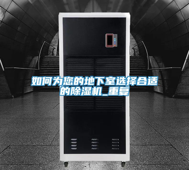 如何为您的地下室选择合适的猫咪成人官网_重复