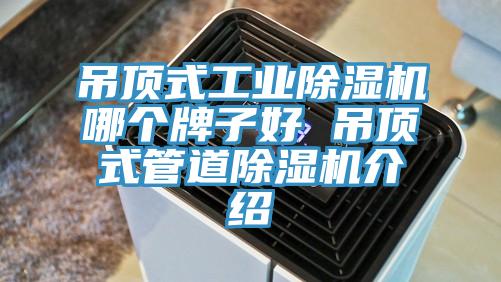 吊顶式工业猫咪成人官网哪个牌子好 吊顶式管道猫咪成人官网介绍