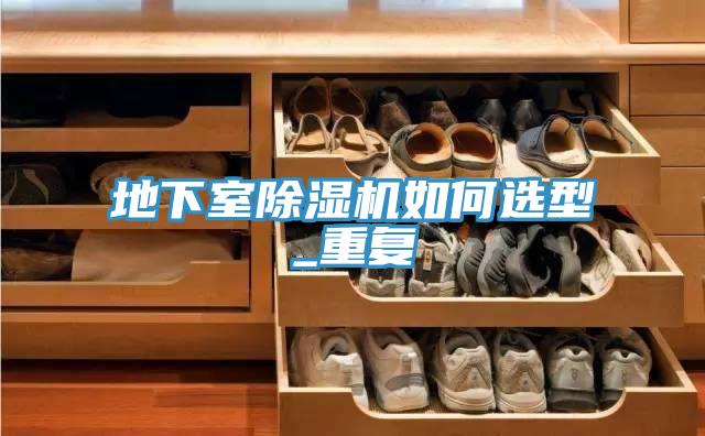 地下室猫咪成人官网如何选型_重复