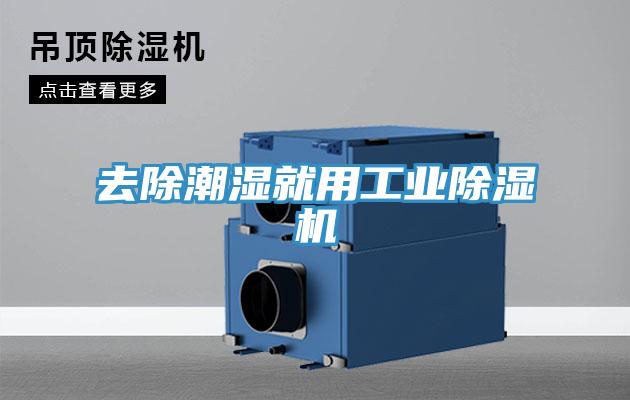 去除潮湿就用工业猫咪成人官网