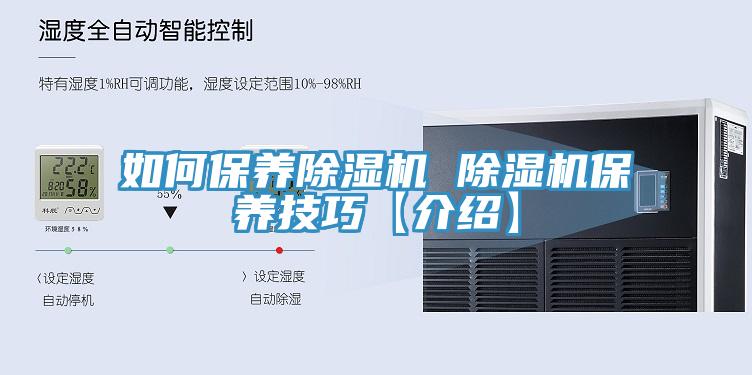 如何保养猫咪成人官网 猫咪成人官网保养技巧【介绍】