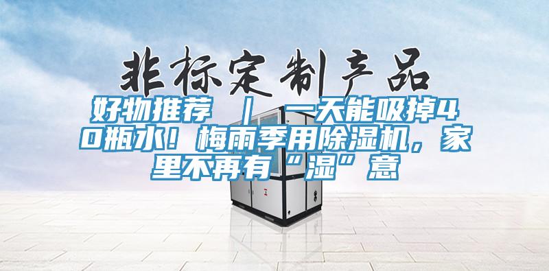 好物推荐 ｜ 一天能吸掉40瓶水！梅雨季用猫咪成人官网，家里不再有“湿”意