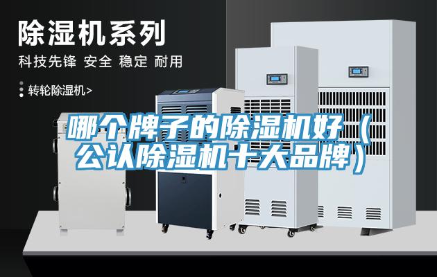 哪个牌子的猫咪成人官网好（公认猫咪成人官网十大品牌）